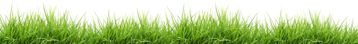 green-grass