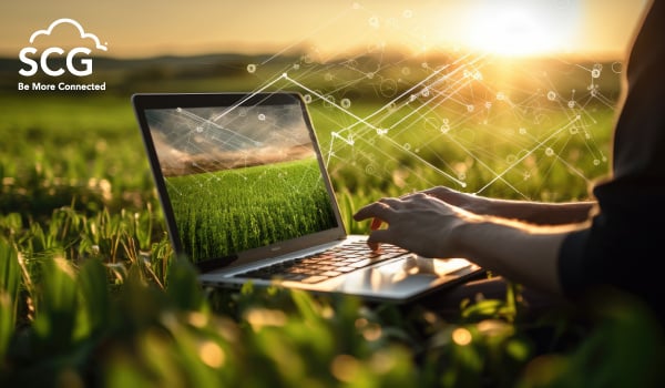 laptop-using-telecoms-in-the-grass
