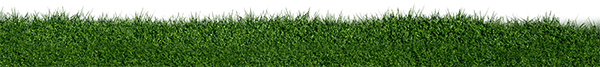 top-strip-of-grass